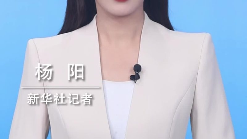 制造业数字化转型的关键要素：案例解析与选型策略