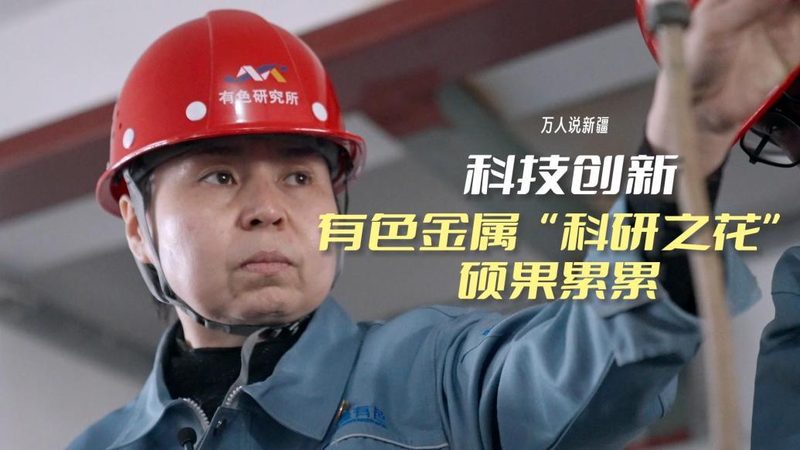 低代码平台定制开发：企业数字化转型的新引擎